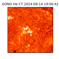 gong - 2024-08-14T19:00:42