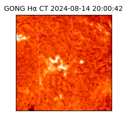 gong - 2024-08-14T20:00:42