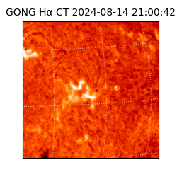 gong - 2024-08-14T21:00:42