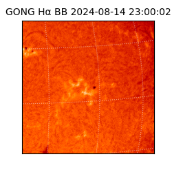 gong - 2024-08-14T23:00:02