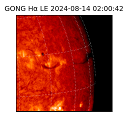 gong - 2024-08-14T02:00:42