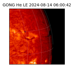gong - 2024-08-14T06:00:42