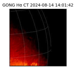 gong - 2024-08-14T14:01:42