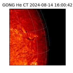 gong - 2024-08-14T16:00:42