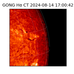 gong - 2024-08-14T17:00:42