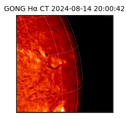 gong - 2024-08-14T20:00:42