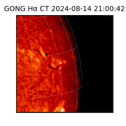 gong - 2024-08-14T21:00:42