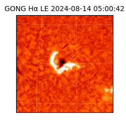 gong - 2024-08-14T05:00:42