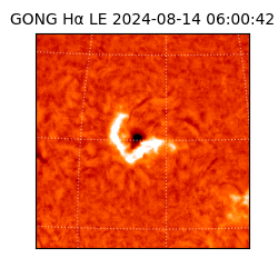 gong - 2024-08-14T06:00:42