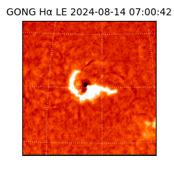 gong - 2024-08-14T07:00:42