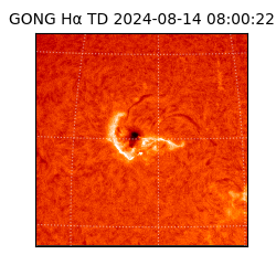 gong - 2024-08-14T08:00:22