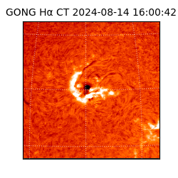 gong - 2024-08-14T16:00:42