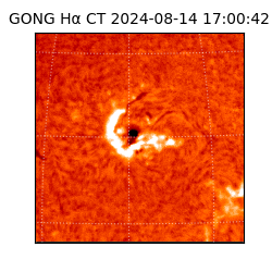 gong - 2024-08-14T17:00:42