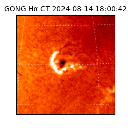 gong - 2024-08-14T18:00:42