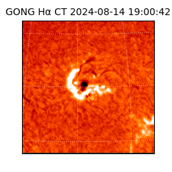 gong - 2024-08-14T19:00:42