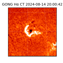 gong - 2024-08-14T20:00:42