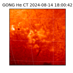 gong - 2024-08-14T18:00:42