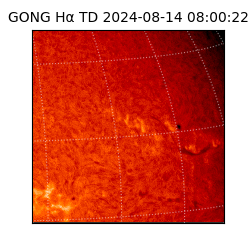 gong - 2024-08-14T08:00:22