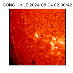 gong - 2024-08-14T02:00:42