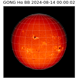 gong - 2024-08-14T00:00:02