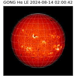 gong - 2024-08-14T02:00:42