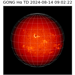 gong - 2024-08-14T09:02:22