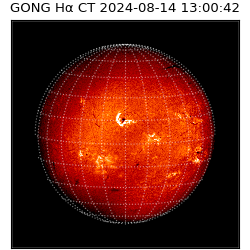 gong - 2024-08-14T13:00:42