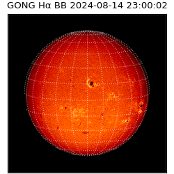 gong - 2024-08-14T23:00:02