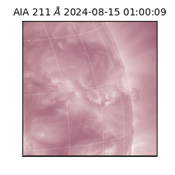 saia - 2024-08-15T01:00:09.632000