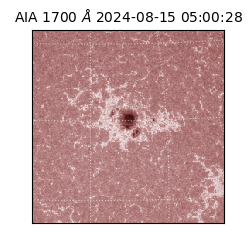saia - 2024-08-15T05:00:28.717000