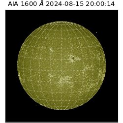 saia - 2024-08-15T20:00:14.126000