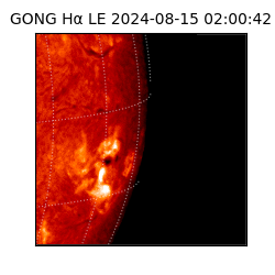 gong - 2024-08-15T02:00:42