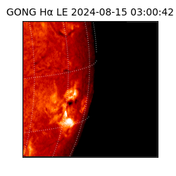 gong - 2024-08-15T03:00:42