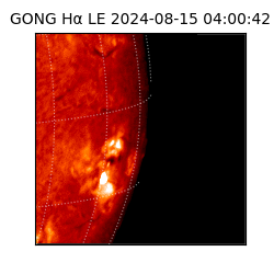 gong - 2024-08-15T04:00:42