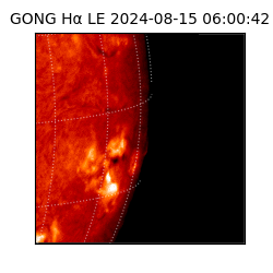 gong - 2024-08-15T06:00:42