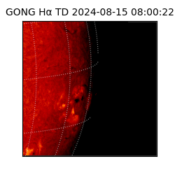 gong - 2024-08-15T08:00:22