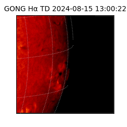 gong - 2024-08-15T13:00:22