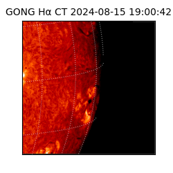 gong - 2024-08-15T19:00:42