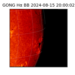 gong - 2024-08-15T20:00:02
