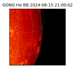 gong - 2024-08-15T21:00:02