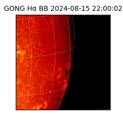 gong - 2024-08-15T22:00:02