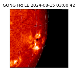 gong - 2024-08-15T03:00:42