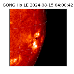 gong - 2024-08-15T04:00:42