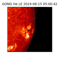 gong - 2024-08-15T05:00:42
