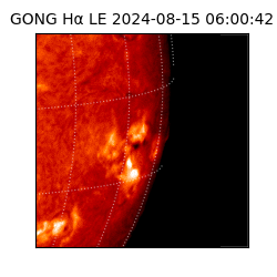 gong - 2024-08-15T06:00:42