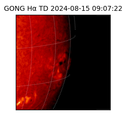 gong - 2024-08-15T09:07:22