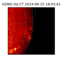 gong - 2024-08-15T18:03:42