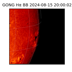 gong - 2024-08-15T20:00:02