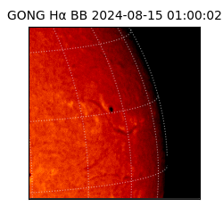 gong - 2024-08-15T01:00:02