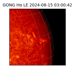 gong - 2024-08-15T03:00:42